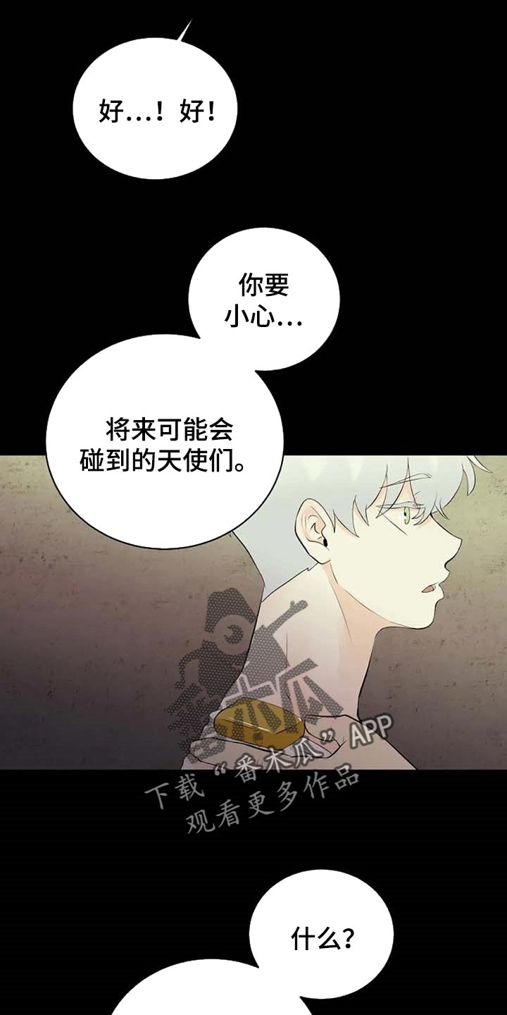 《贴身使者》第64章一个人会害怕 第20页