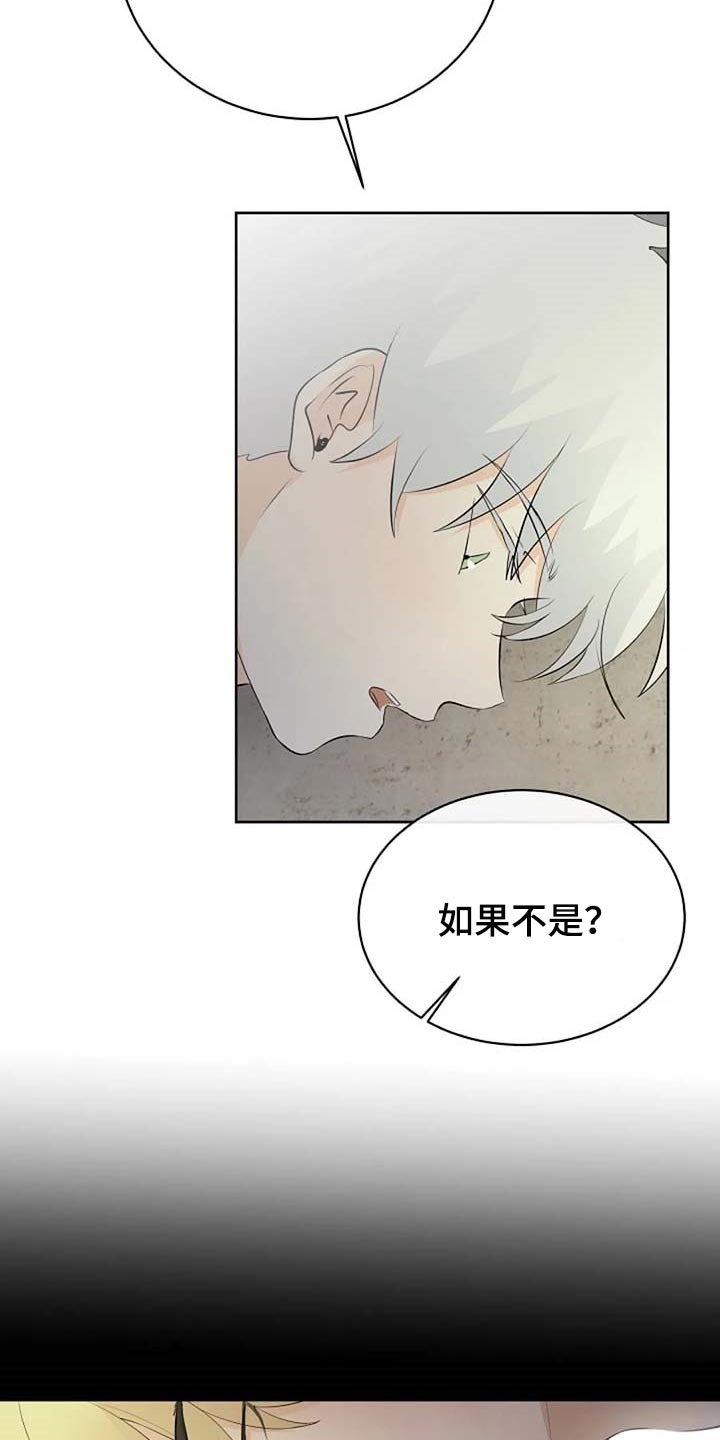 《贴身使者》第68章想象力丰富 第14页