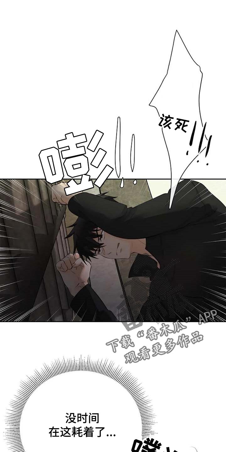 《贴身使者》第62章我还好 第4页