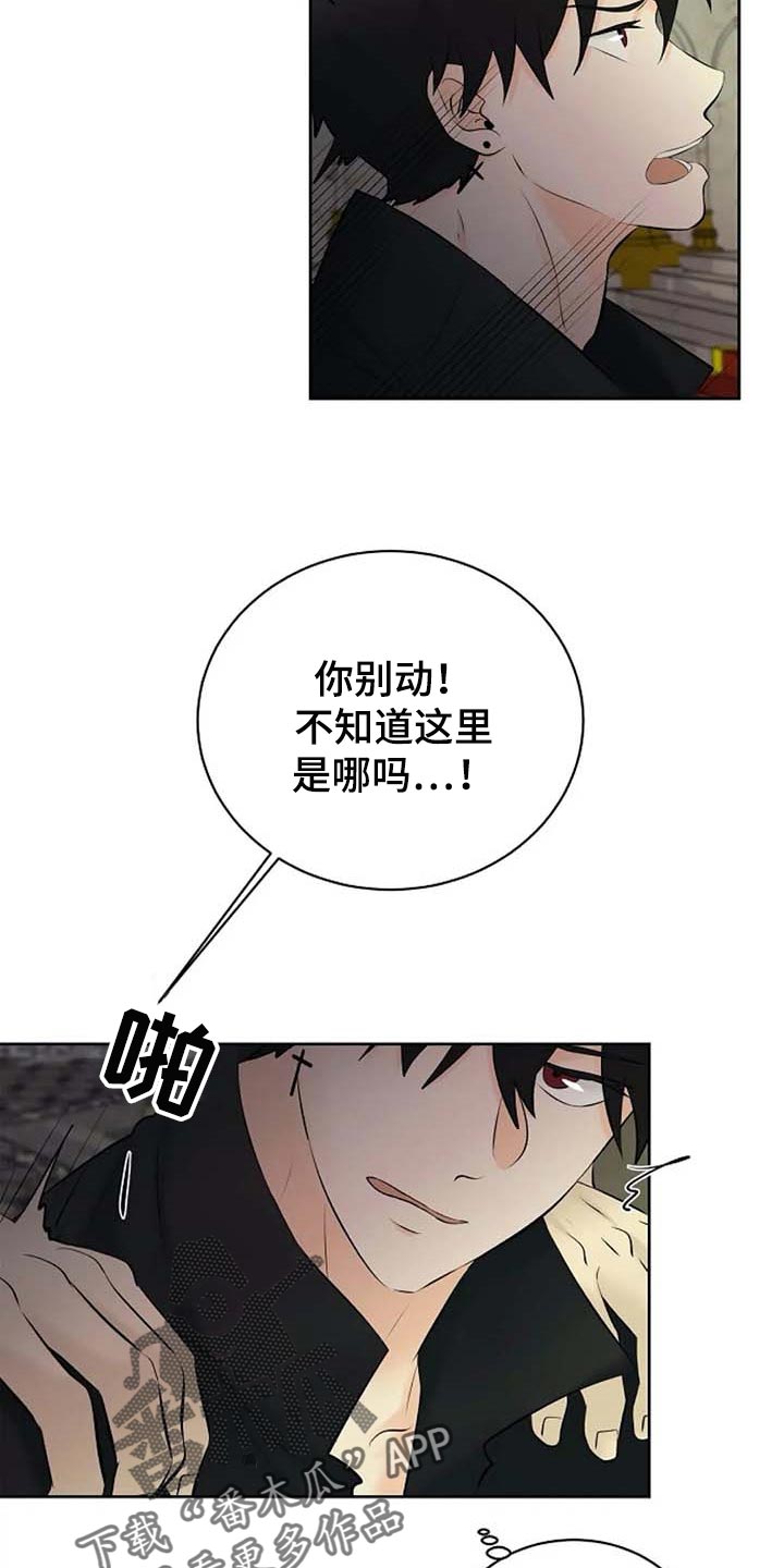 《贴身使者》第61章偏方 第11页
