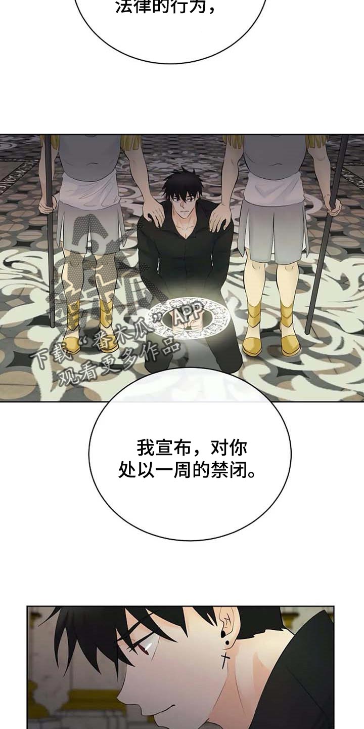 《贴身使者》第61章偏方 第18页