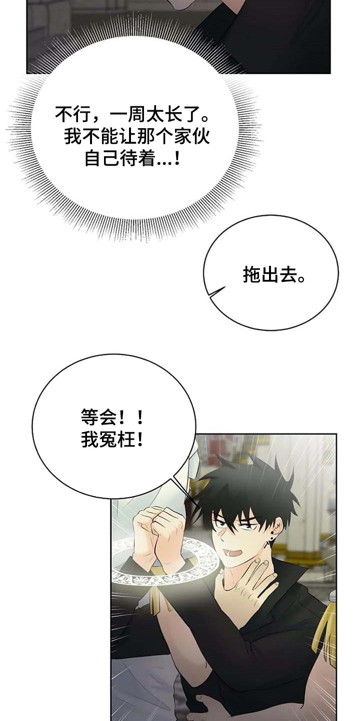 《贴身使者》第61章偏方 第19页