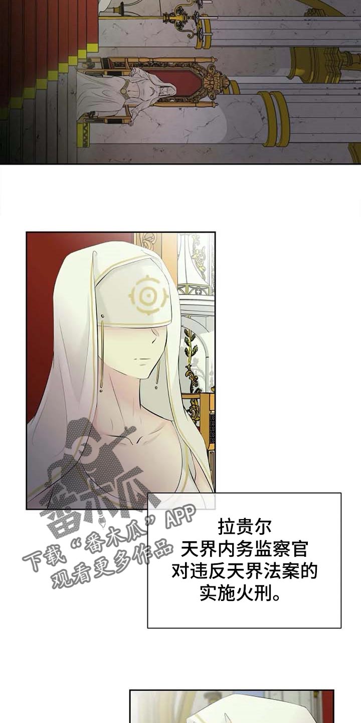 《贴身使者》第61章偏方 第3页