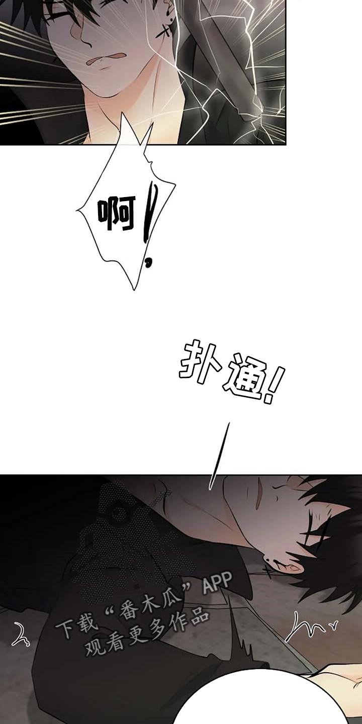 《贴身使者》第63章武术比赛 第4页
