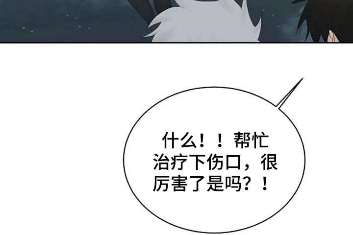 《贴身使者》第59章我的命在你手上 第11页