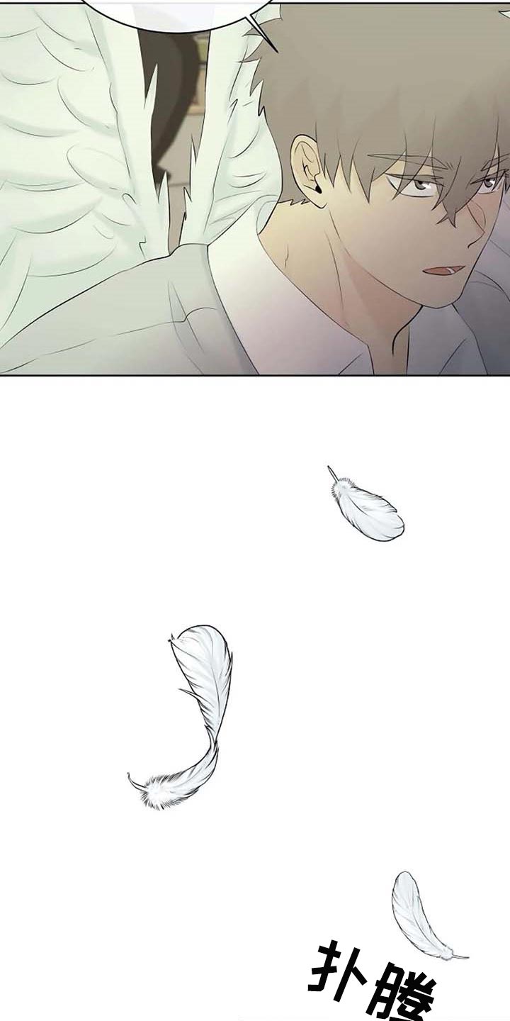 《贴身使者》第58章天界的魔法学校 第15页