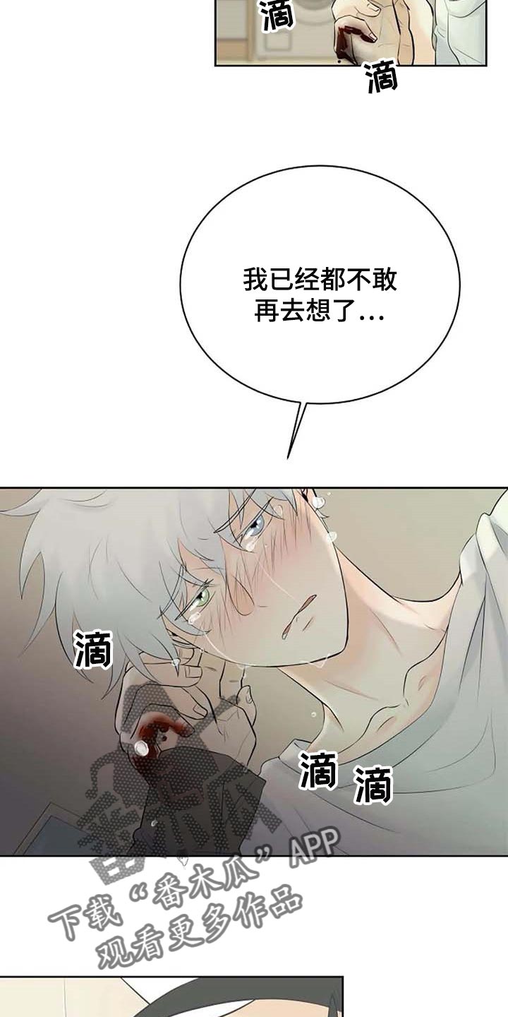《贴身使者》第55章治疗 第13页