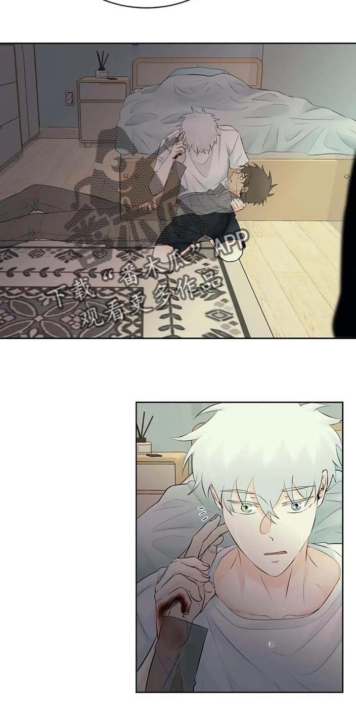 《贴身使者》第55章治疗 第17页