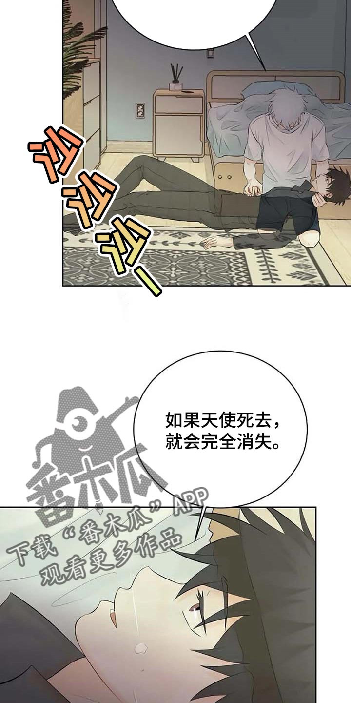 《贴身使者》第55章治疗 第7页