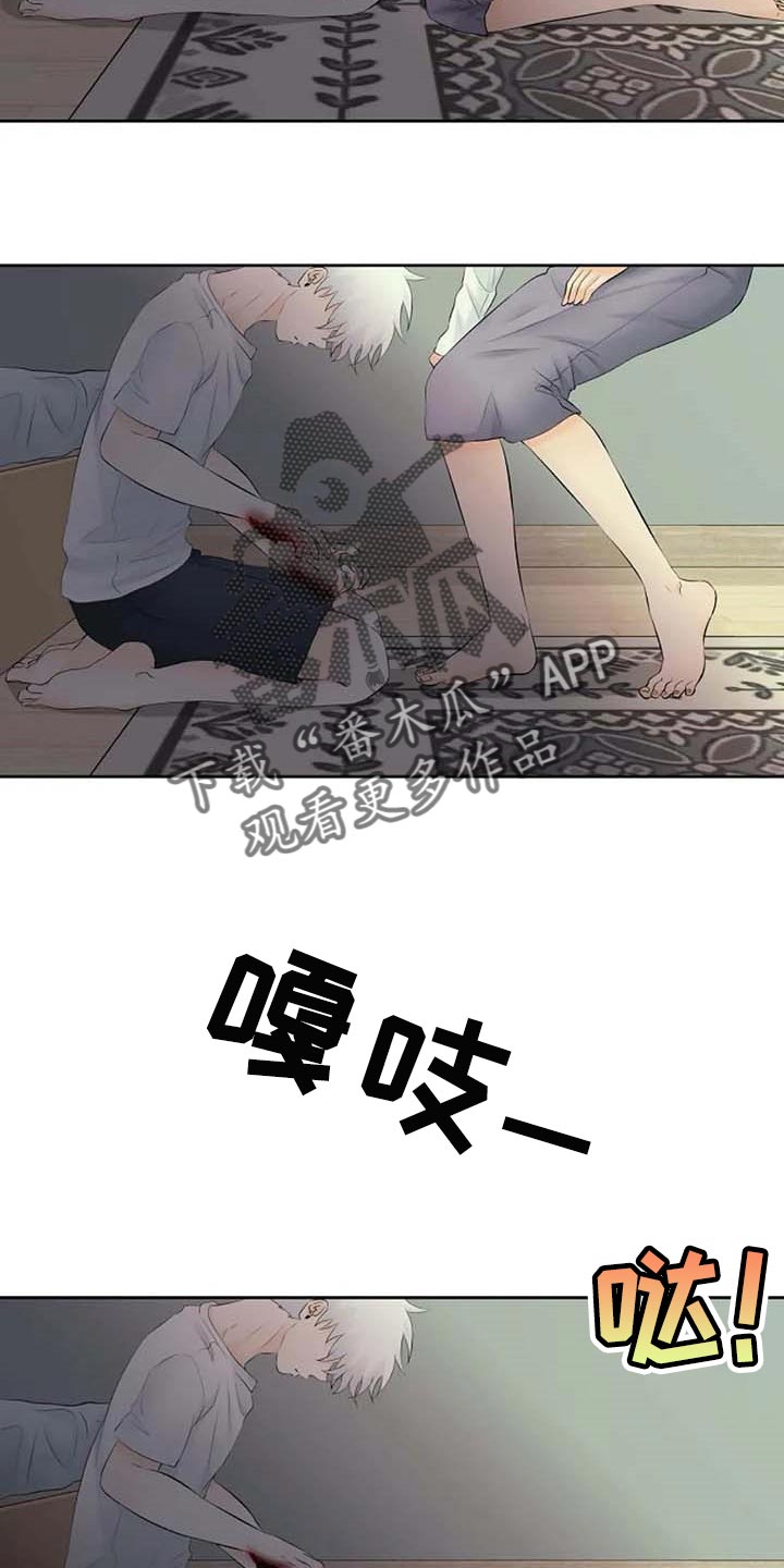 《贴身使者》第54章看不到 第24页