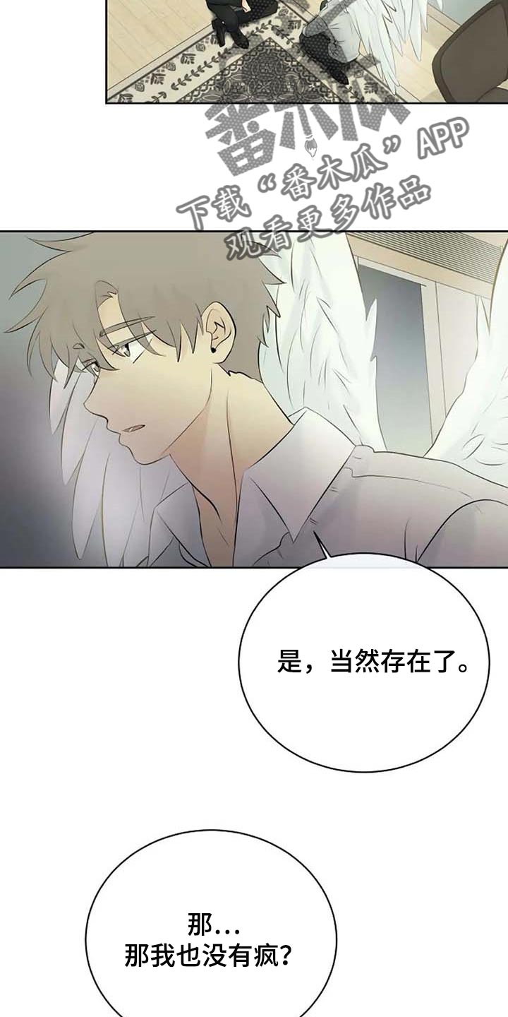 《贴身使者》第56章解释 第10页