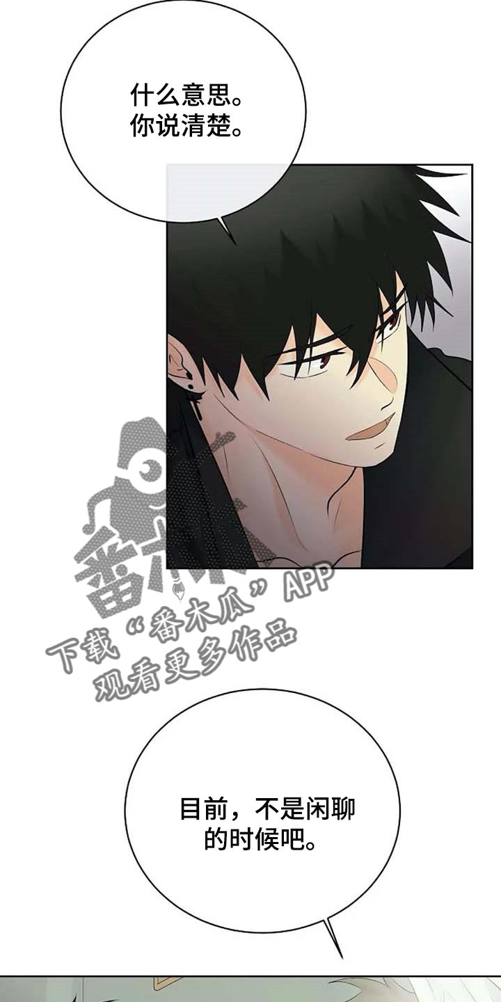 《贴身使者》第56章解释 第15页
