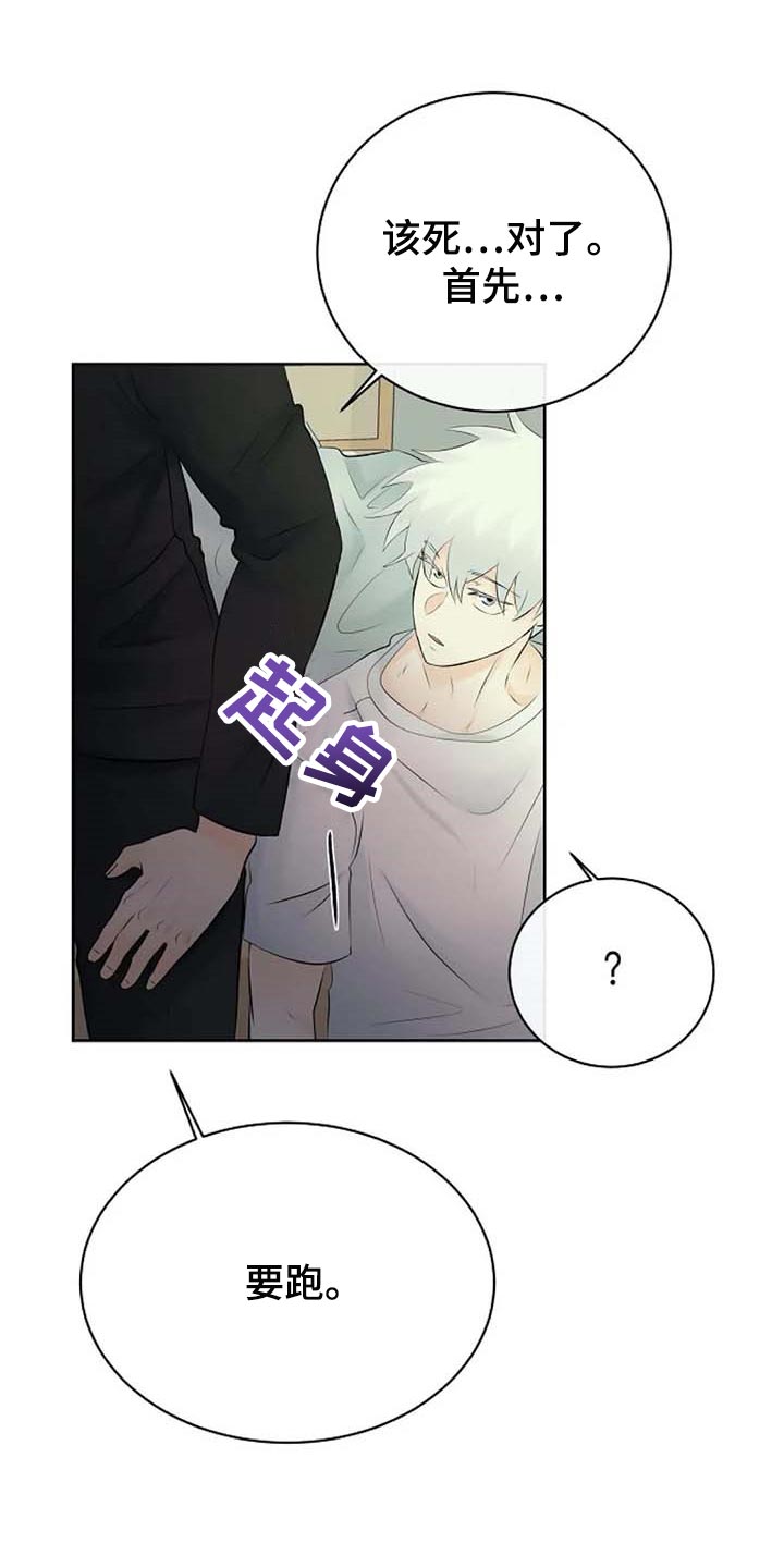 《贴身使者》第56章解释 第17页