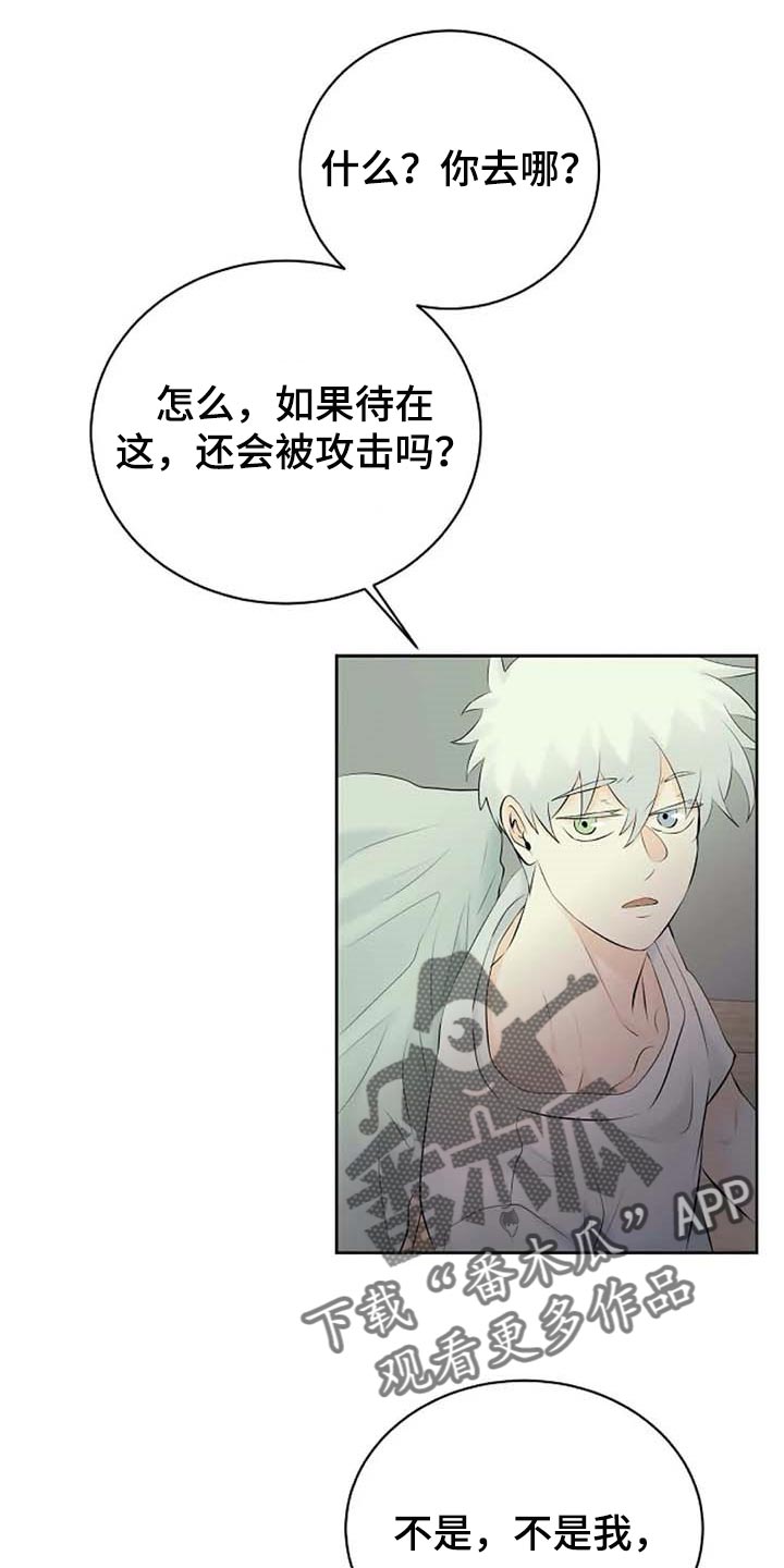 《贴身使者》第56章解释 第18页