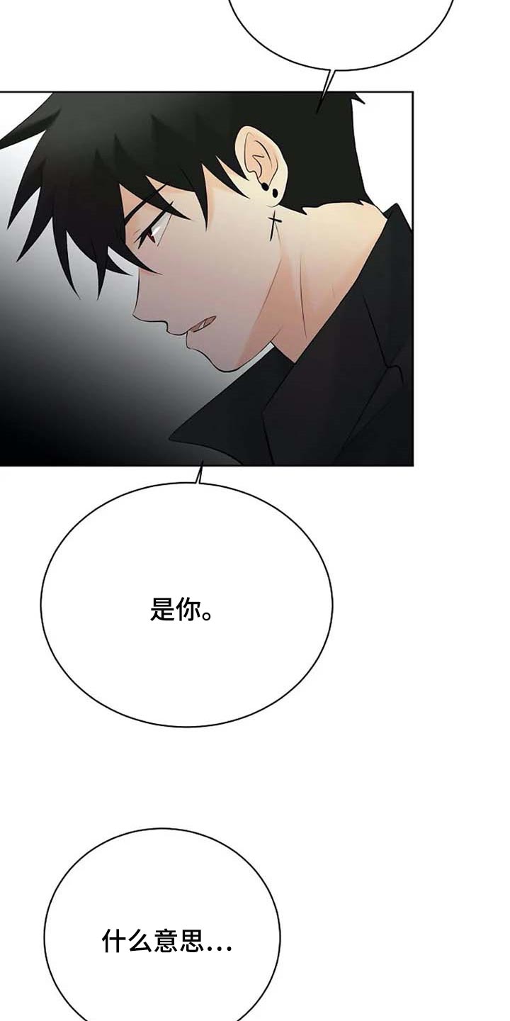 《贴身使者》第56章解释 第19页