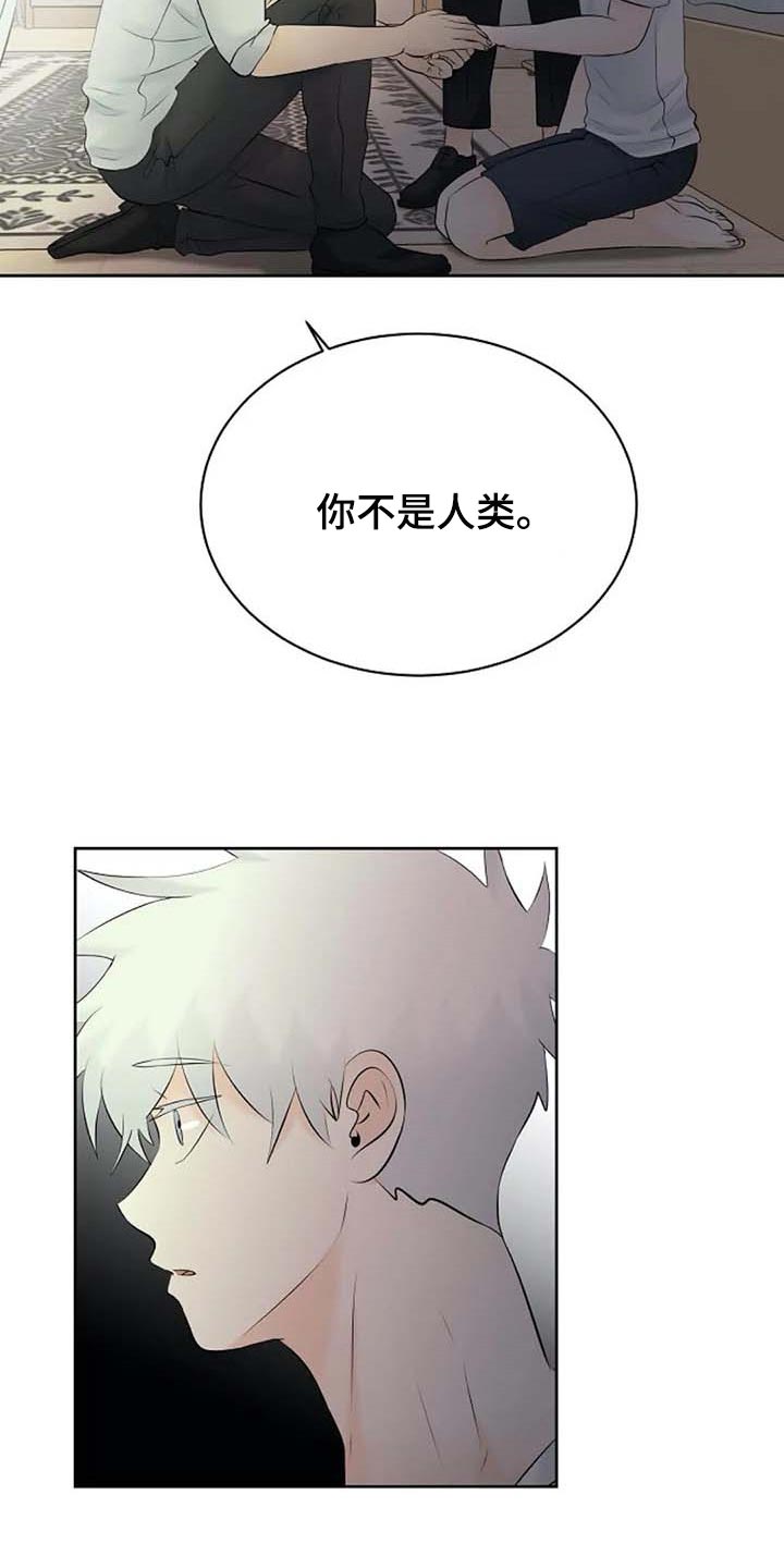 《贴身使者》第56章解释 第23页