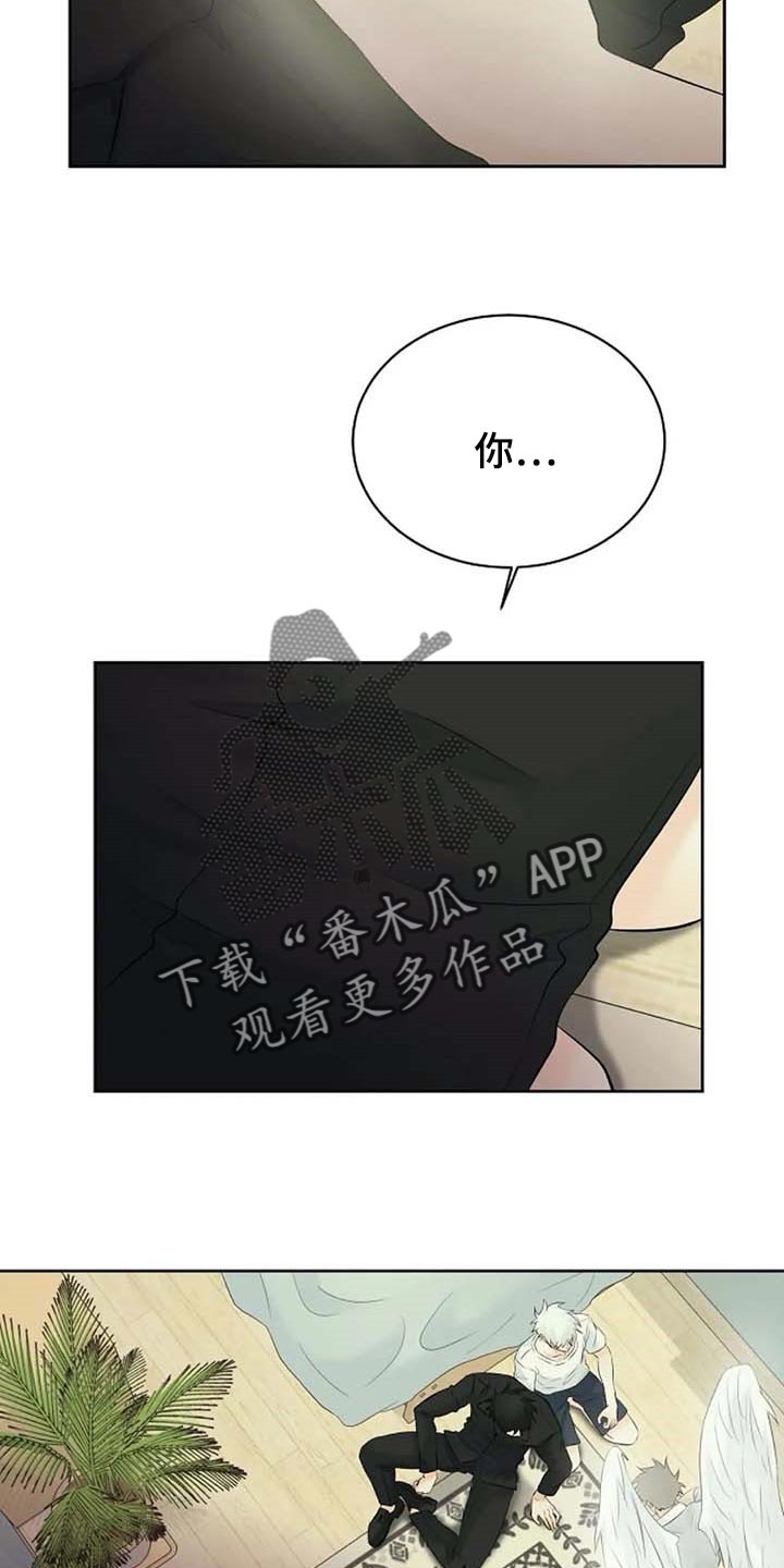 《贴身使者》第56章解释 第2页