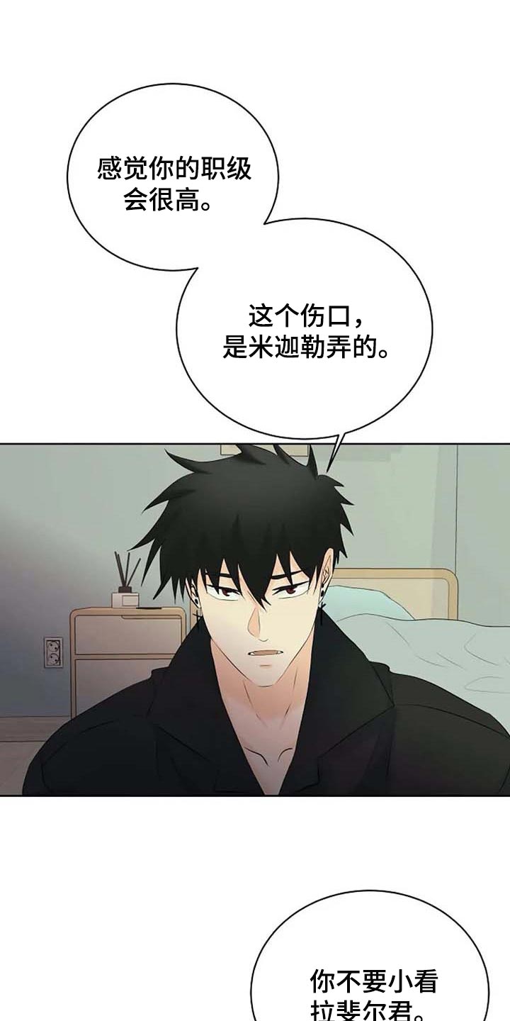 《贴身使者》第56章解释 第4页
