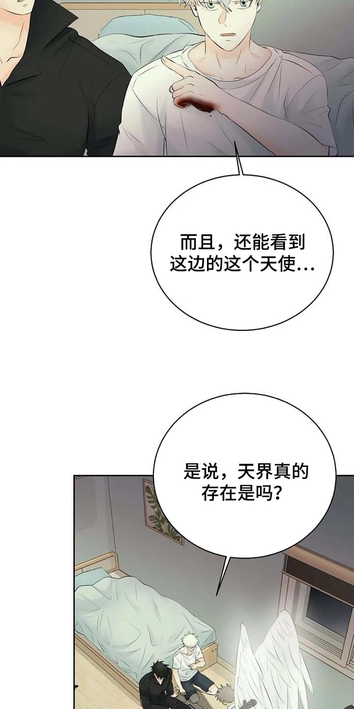 《贴身使者》第56章解释 第9页