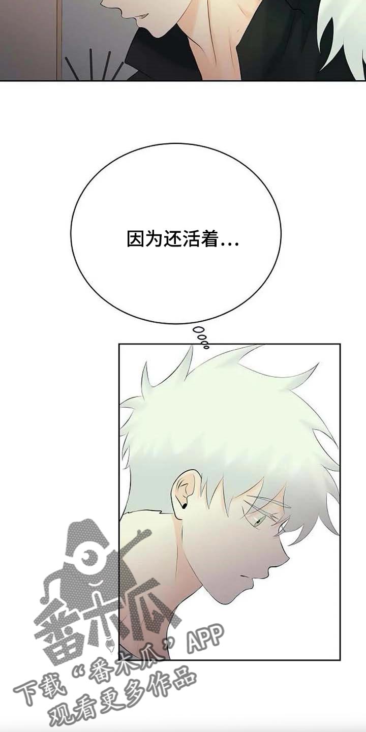 《贴身使者》第49章存在的理由 第17页