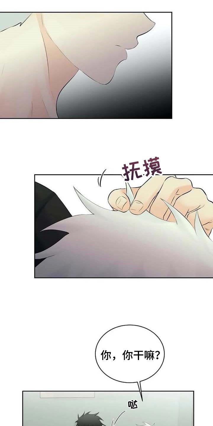 《贴身使者》第49章存在的理由 第20页