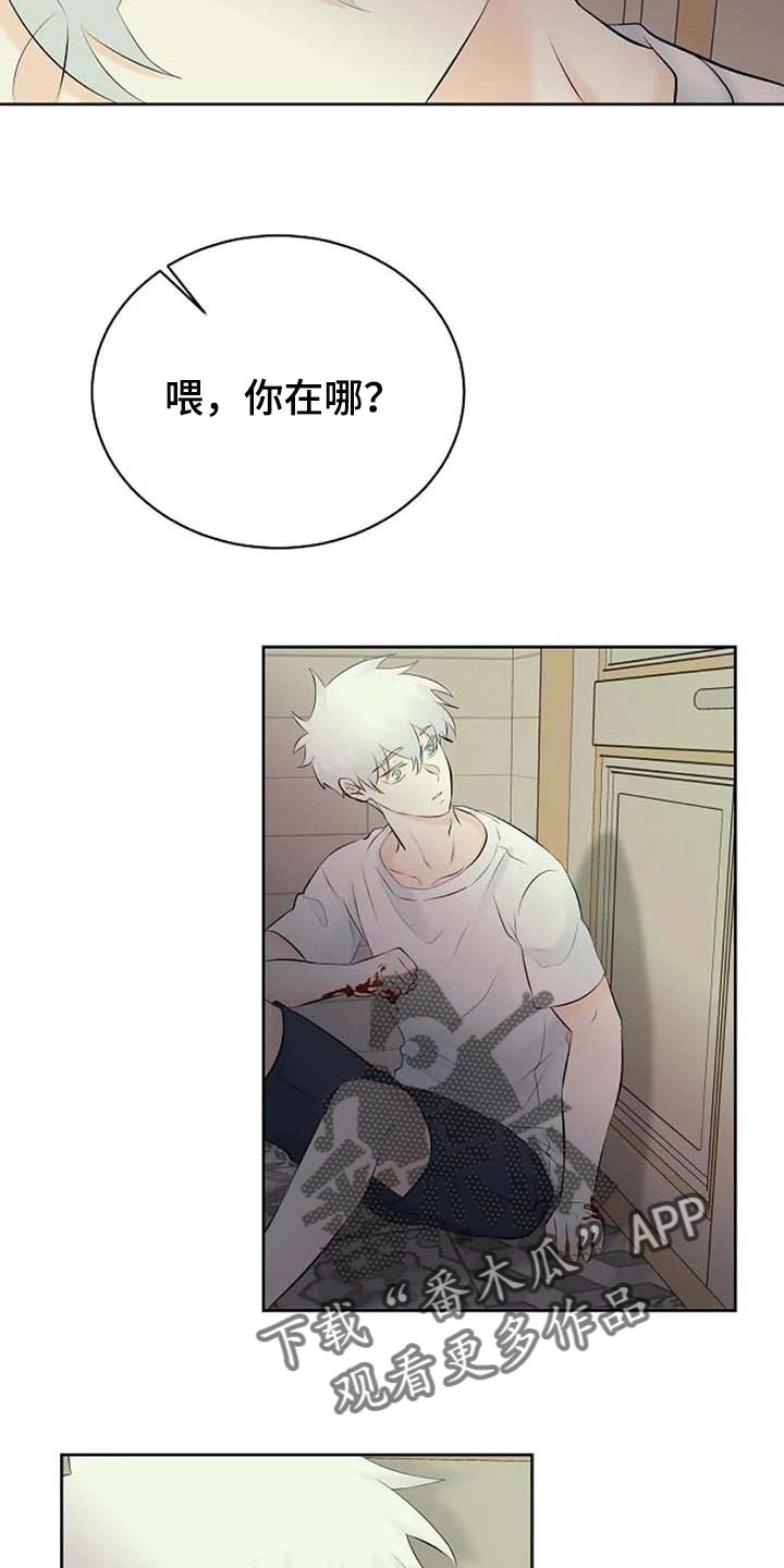 《贴身使者》第52章受伤 第10页