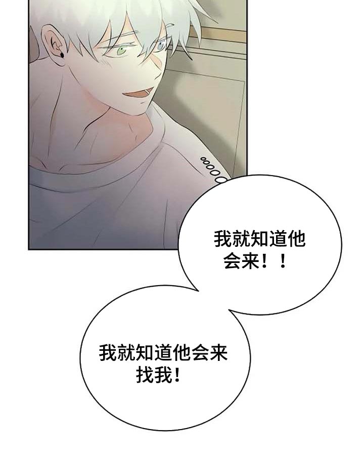 《贴身使者》第52章受伤 第11页