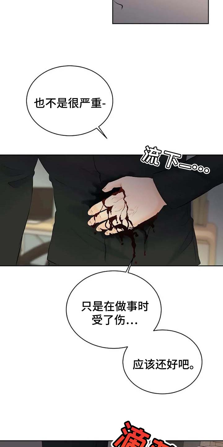 《贴身使者》第52章受伤 第14页