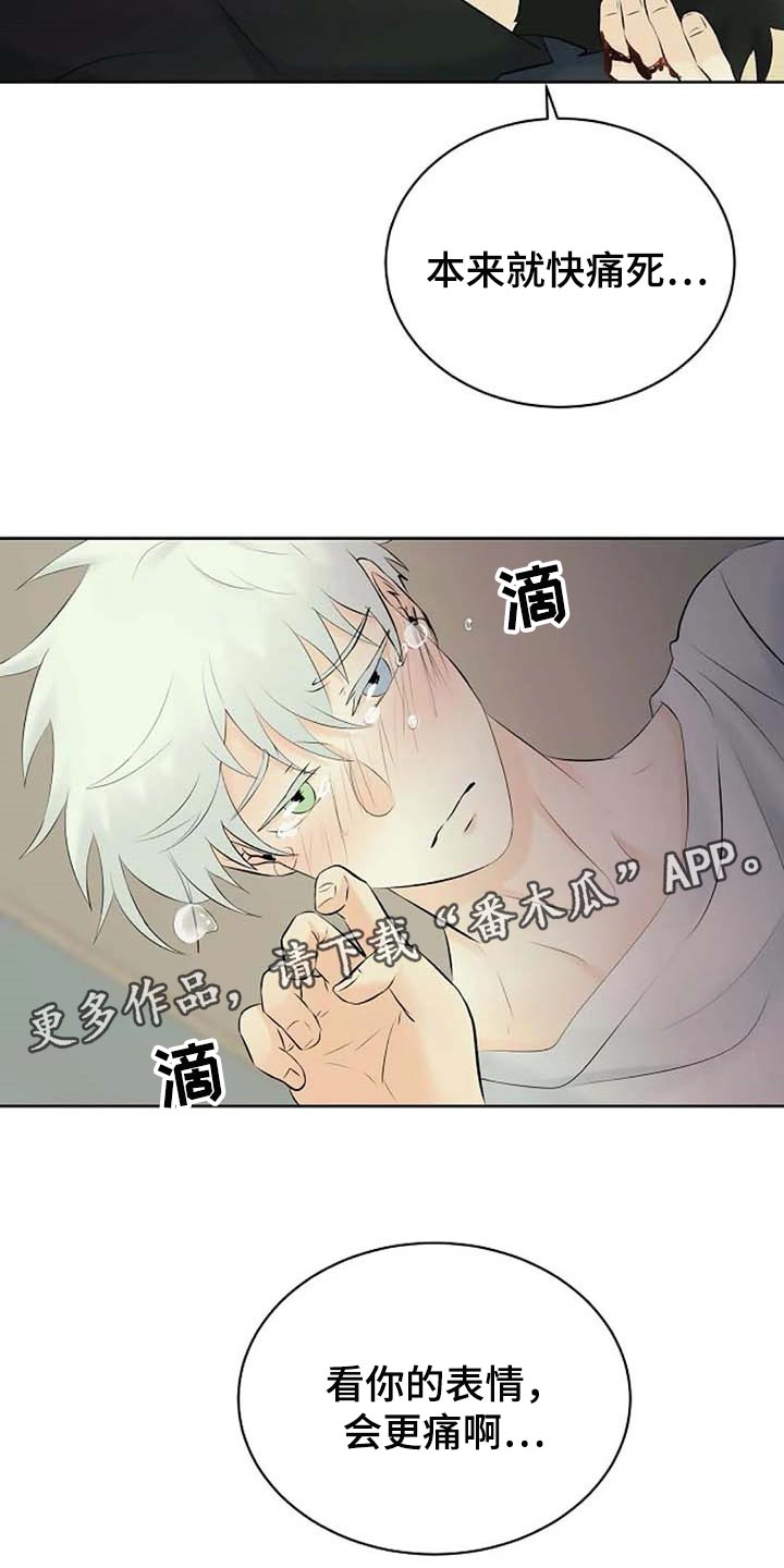 《贴身使者》第52章受伤 第21页