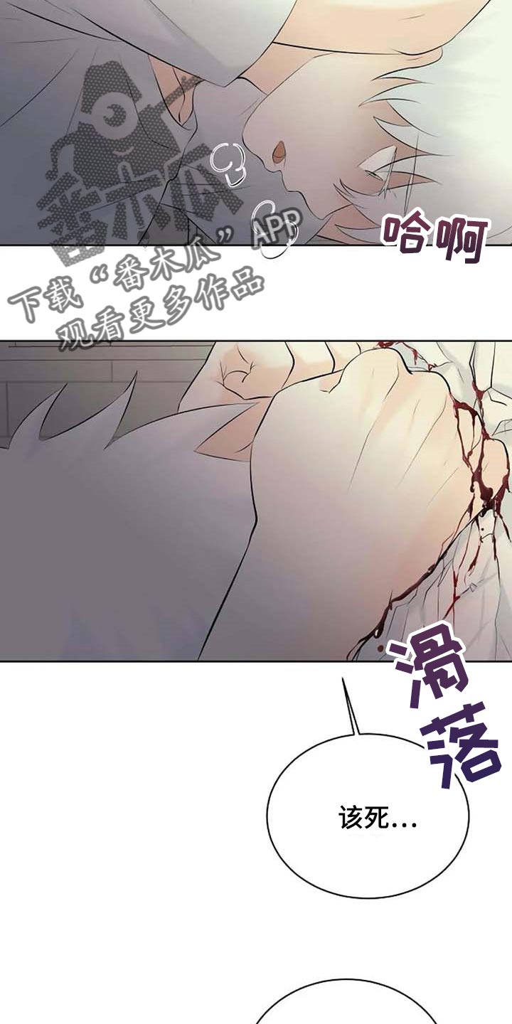 《贴身使者》第52章受伤 第6页