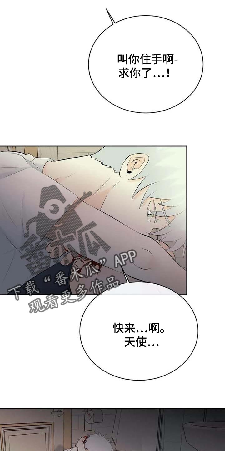 《贴身使者》第52章受伤 第8页