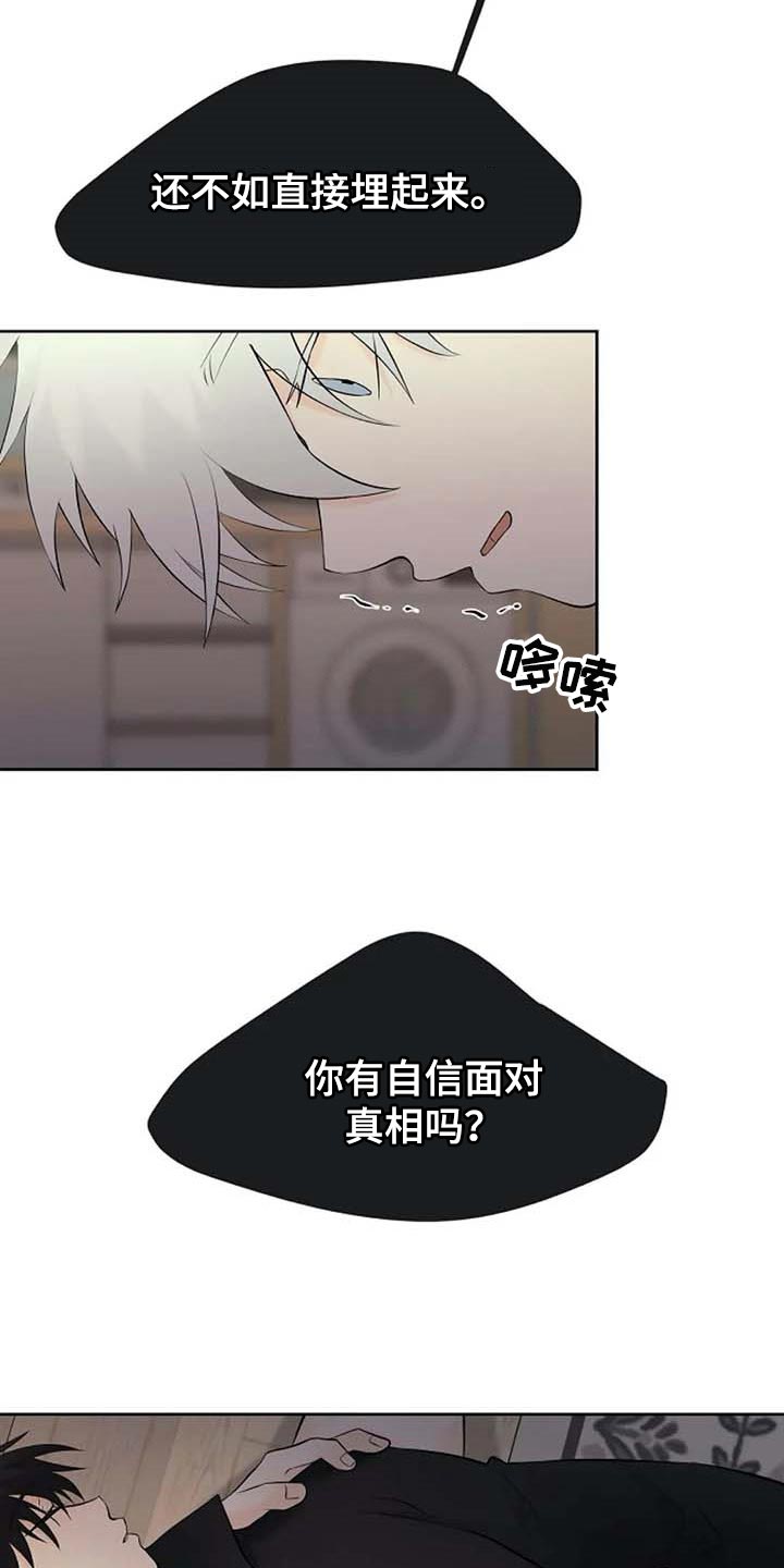 《贴身使者》第53章自编自导 第16页