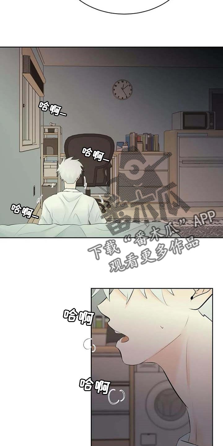 《贴身使者》第53章自编自导 第23页