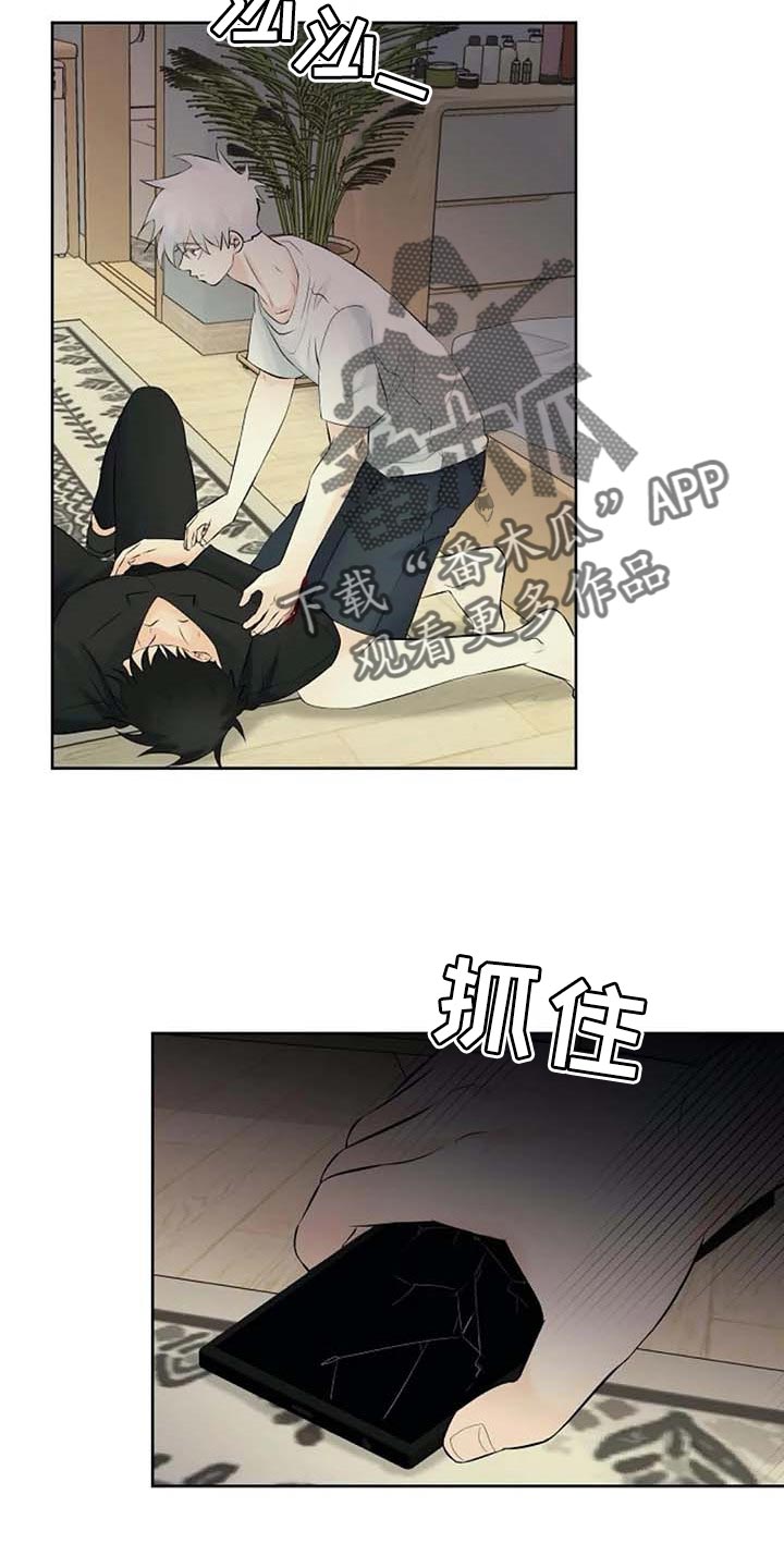 《贴身使者》第53章自编自导 第25页