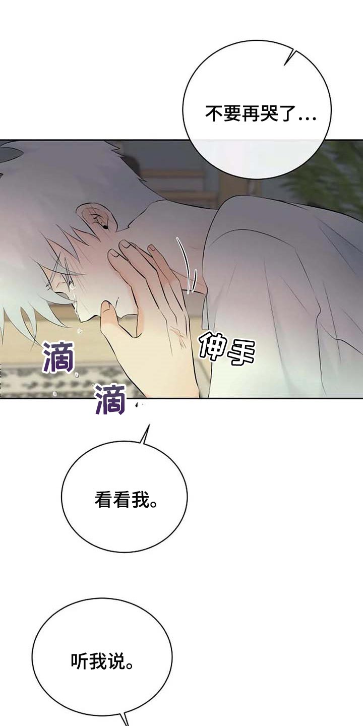 《贴身使者》第53章自编自导 第3页