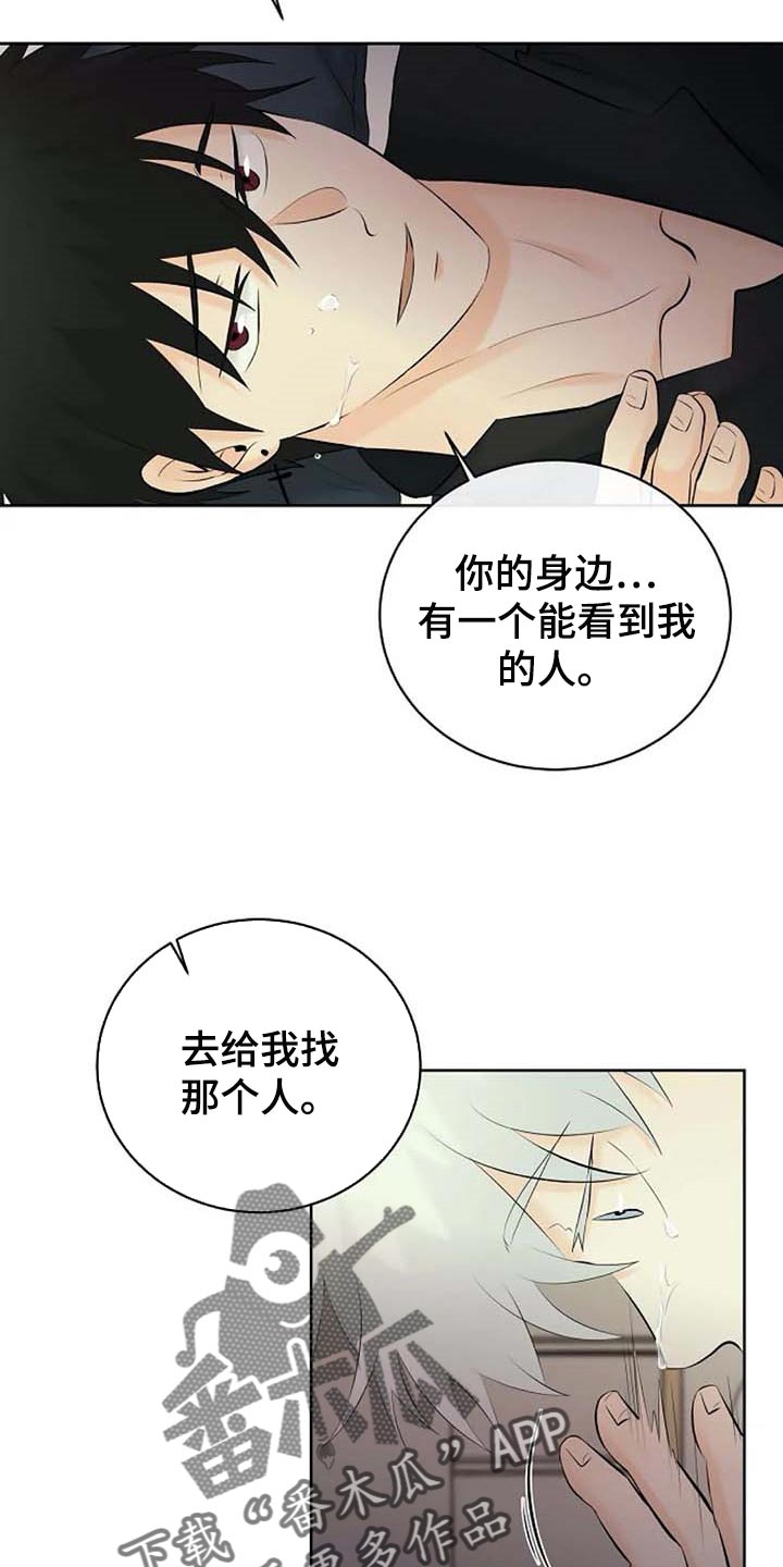 《贴身使者》第53章自编自导 第4页