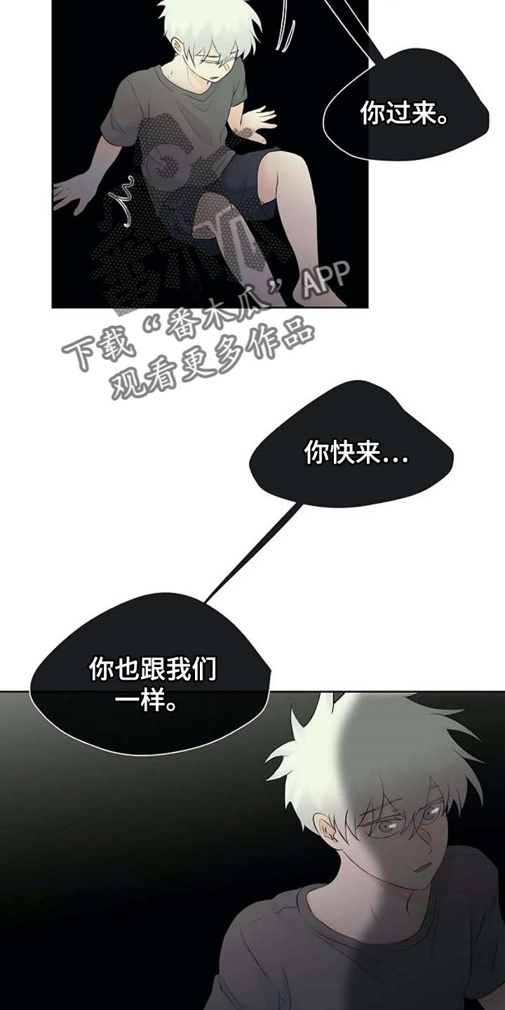 《贴身使者》第51章错误的回忆 第18页