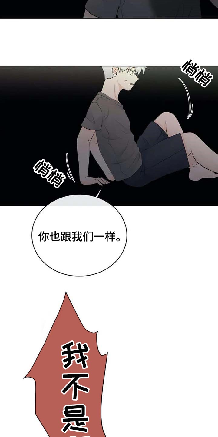 《贴身使者》第51章错误的回忆 第19页