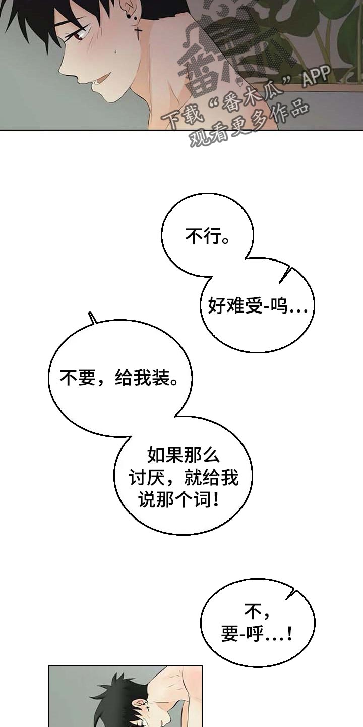 《贴身使者》第45章解气为止 第11页