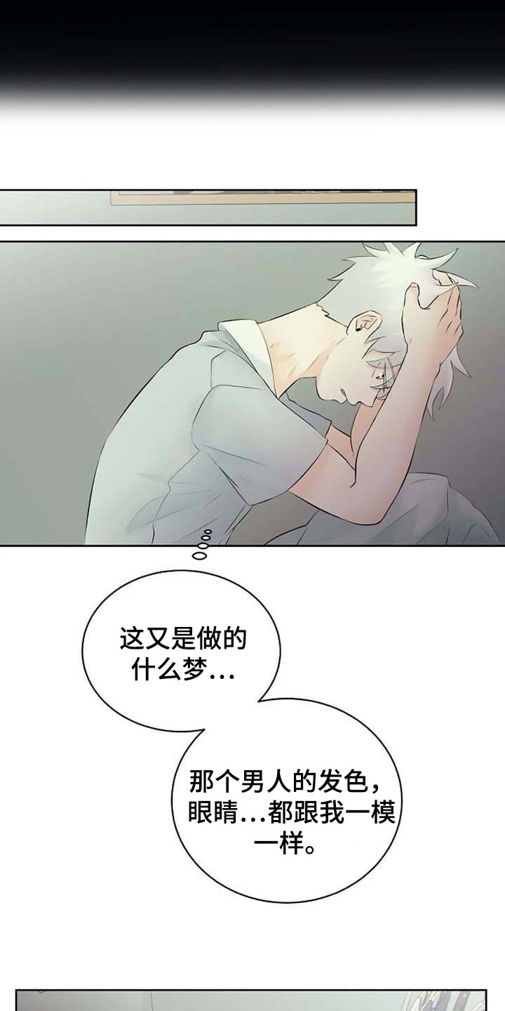 《贴身使者》第47章特点符合 第10页