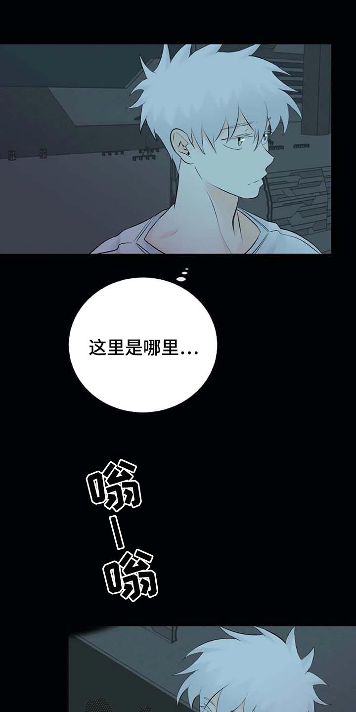 《贴身使者》第47章特点符合 第1页