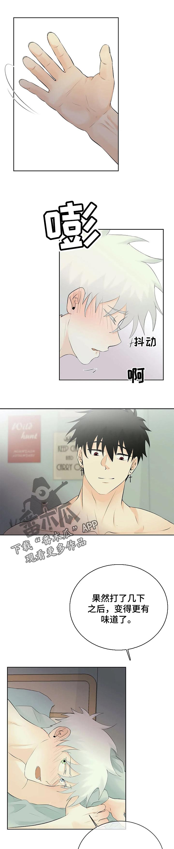 《贴身使者》第41章快说 第1页