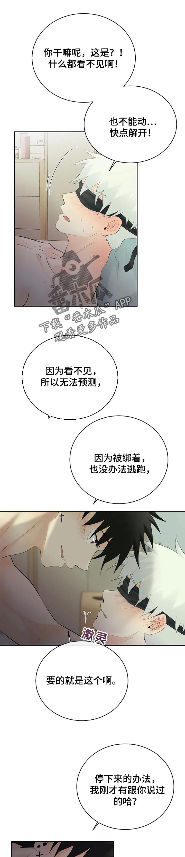 《贴身使者》第41章快说 第5页