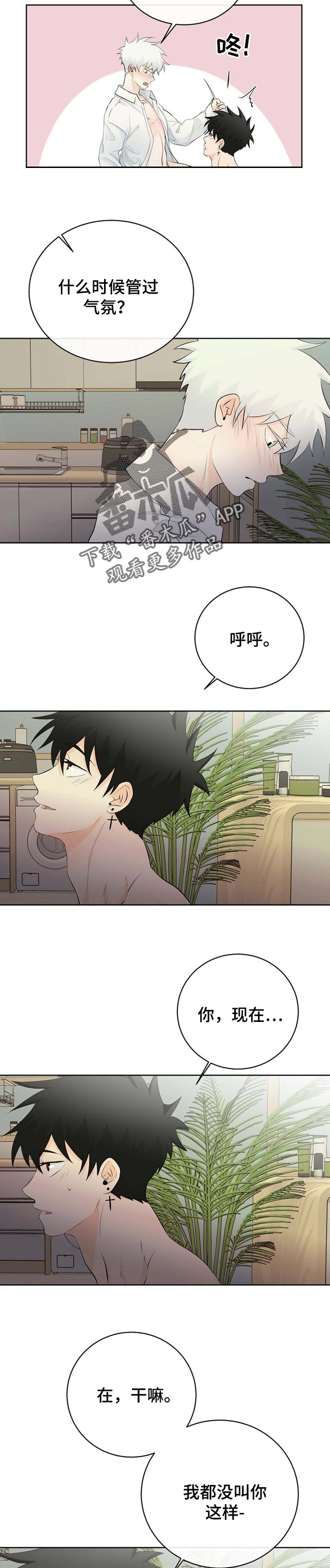 《贴身使者》第39章气氛 第7页