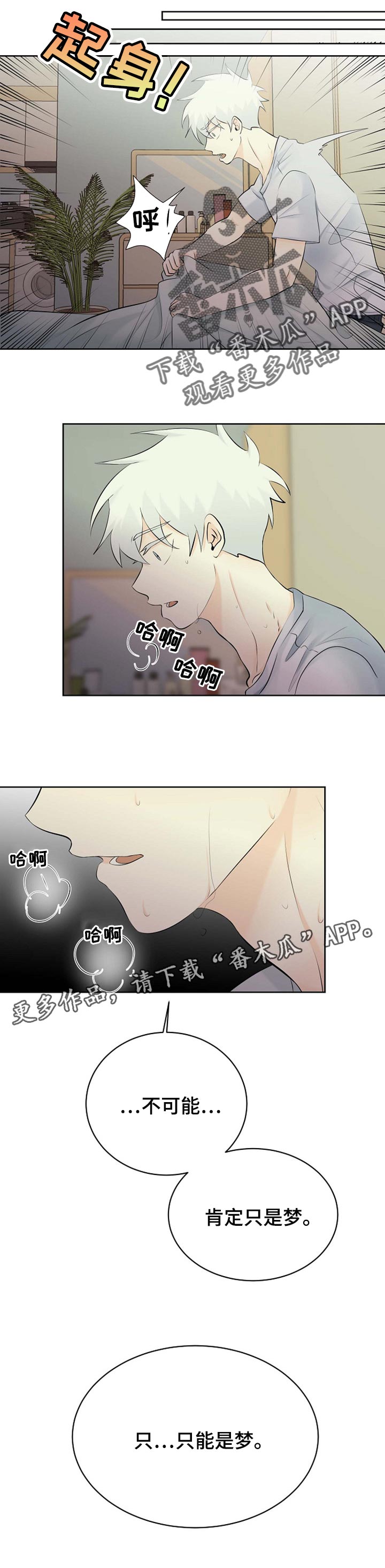 《贴身使者》第36章只是梦 第11页