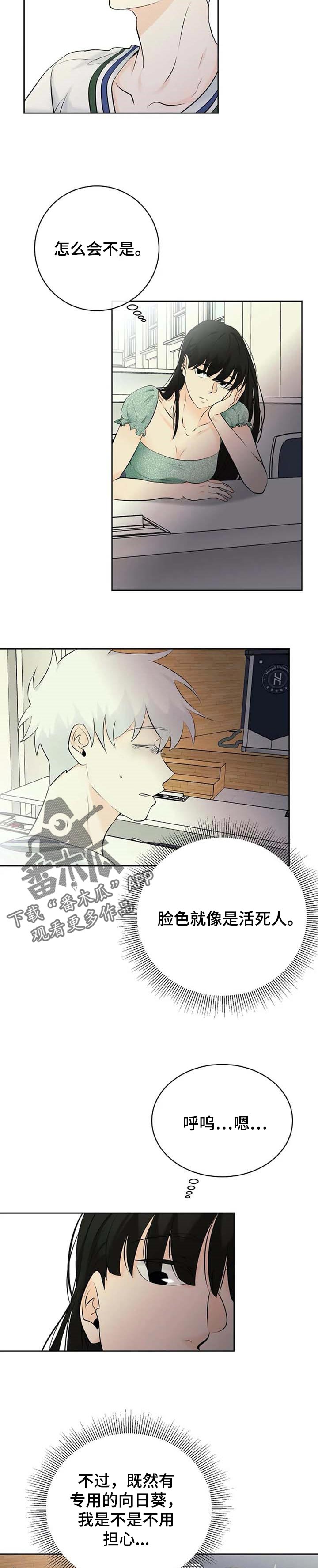 《贴身使者》第33章晕倒 第10页