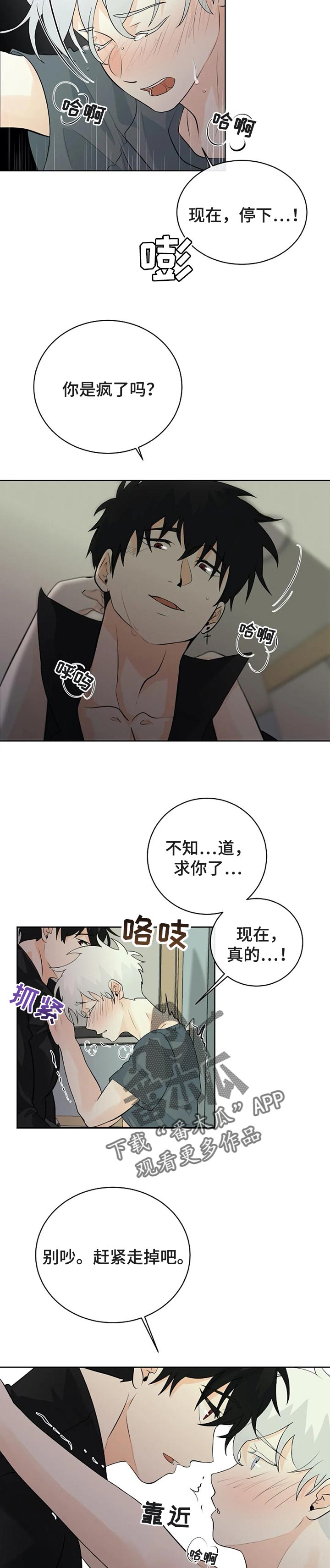 《贴身使者》第26章还没满足 第8页