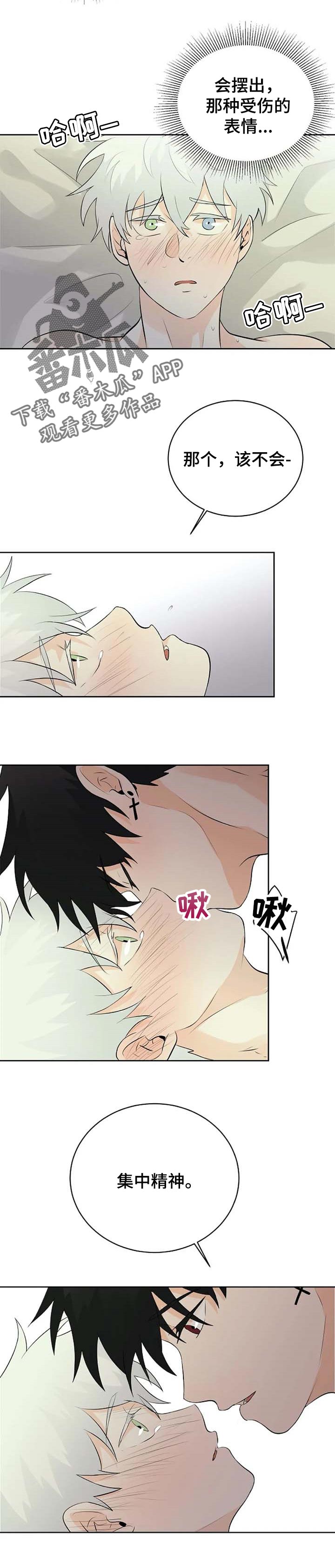 《贴身使者》第28章浪费最后一天 第4页
