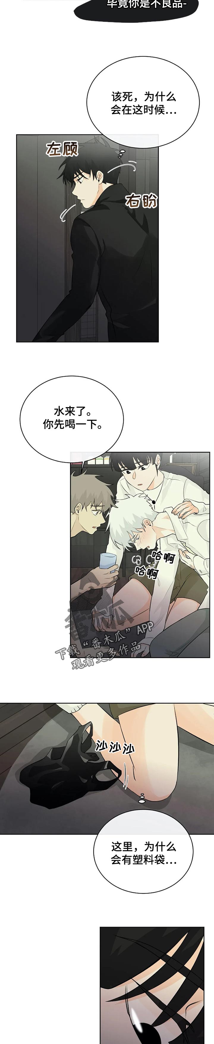 《贴身使者》第24章消失的办法 第4页