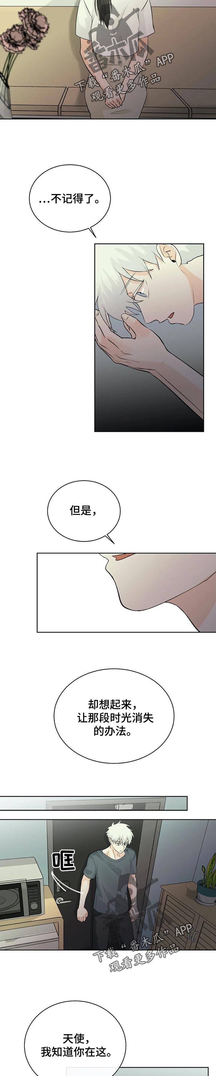 《贴身使者》第24章消失的办法 第7页